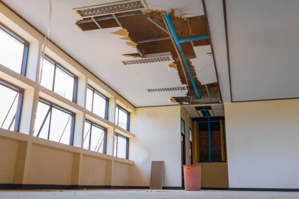 Best Water damage restoration near me  in Hidden Hills, CA