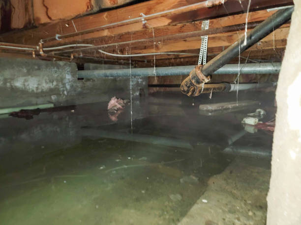 Best 24/7 water damage repair  in Hidden Hills, CA