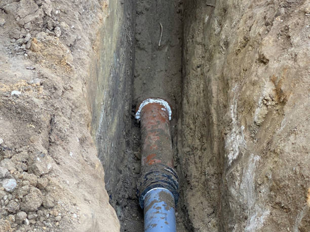 Best Professional water damage repair  in Hidden Hills, CA