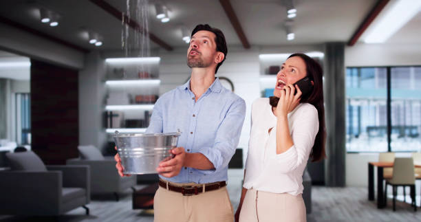 Best Carpet water damage restoration  in Hidden Hills, CA