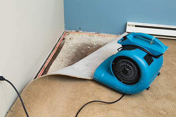 Best Local water damage restoration  in Hidden Hills, CA